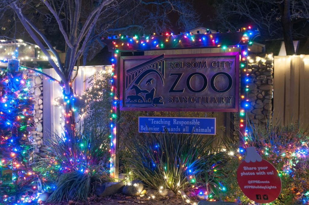 Wild Nights & Holiday Lights at Folsom City Zoo • Leonardi Real Estate